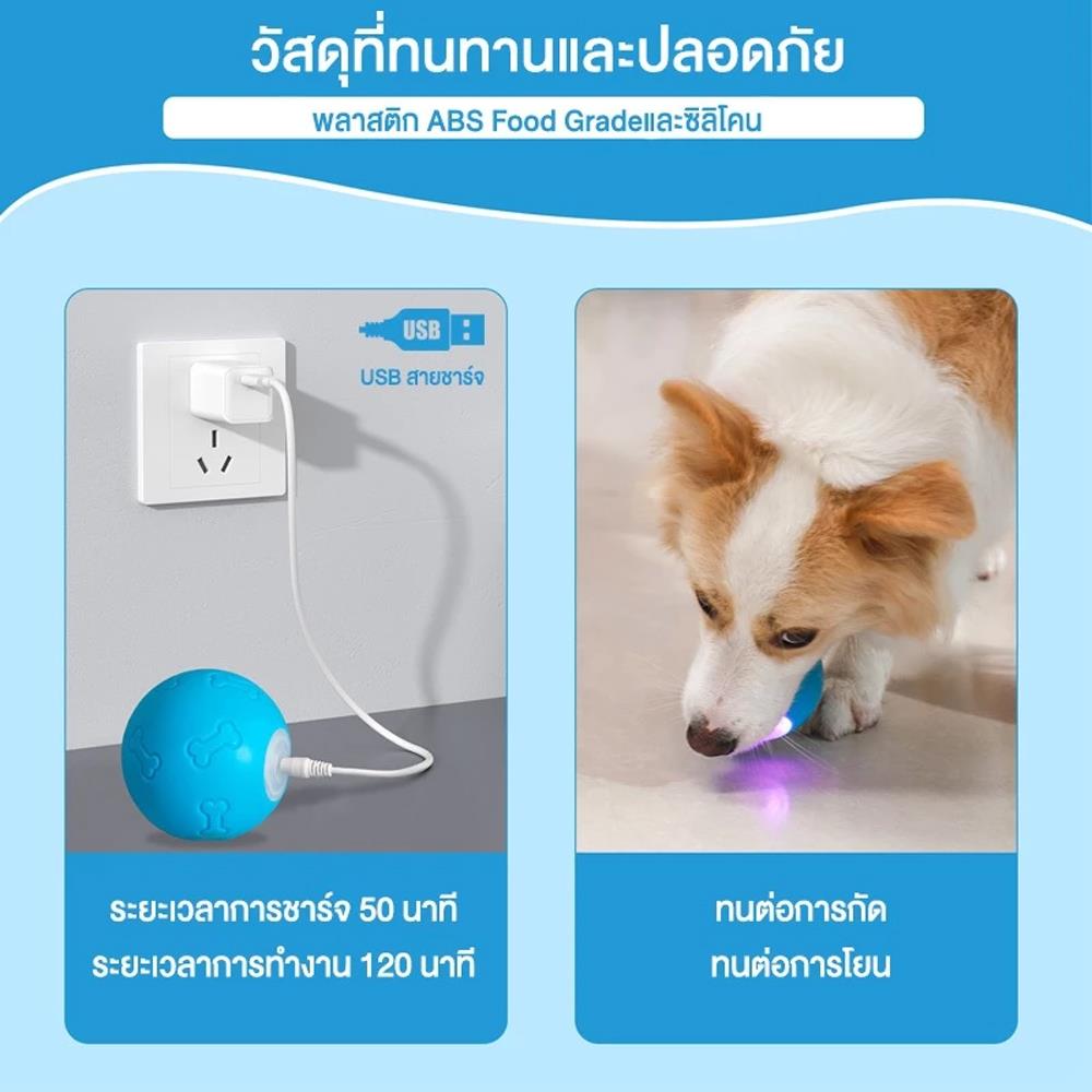 ของเล่นสำหรับสุนัข MOMOVIDA DT1 สีฟ้า