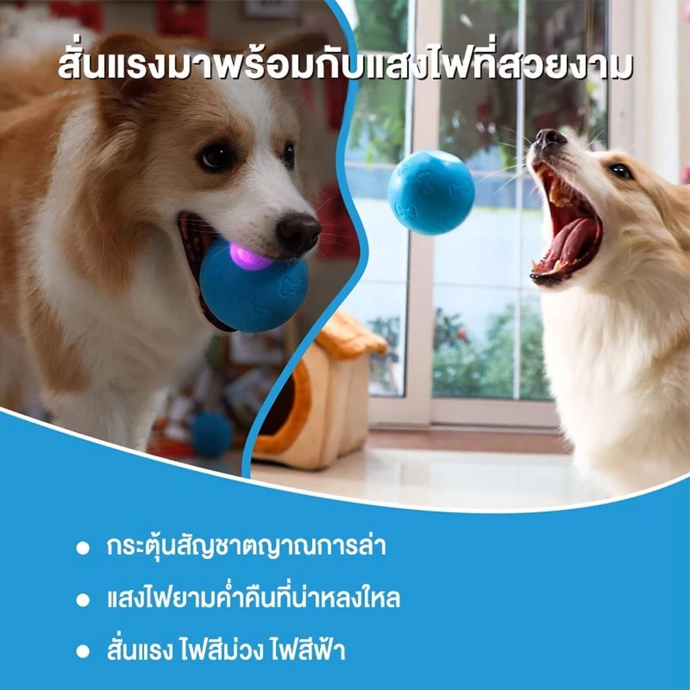 ของเล่นสำหรับสุนัข MOMOVIDA DT1 สีฟ้า