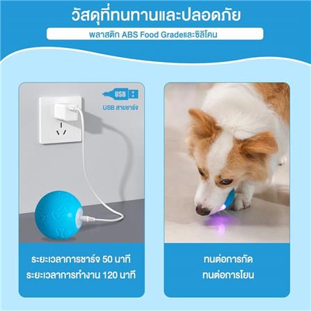 ของเล่นสำหรับสุนัข MOMOVIDA DT1 สีฟ้า_2