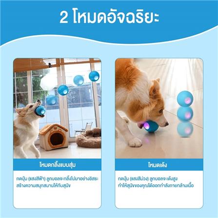 ของเล่นสำหรับสุนัข MOMOVIDA DT1 สีฟ้า_4