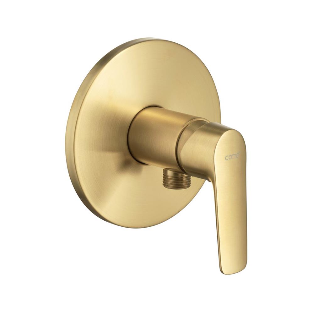 วาล์วฝักบัว 1 ทาง COTTO CT1286A(HM)BGR