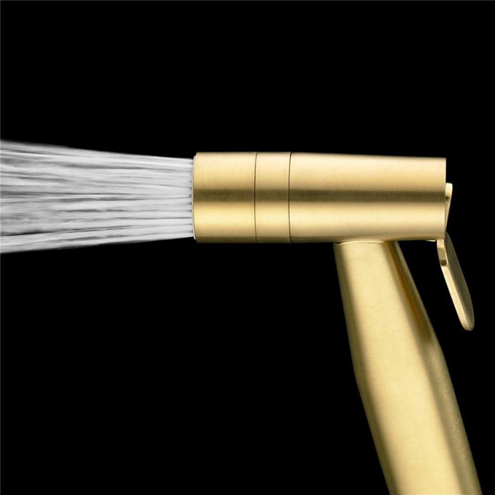 สายฉีดชำระครบชุด COTTO CT9914BGR(HM) สีทอง