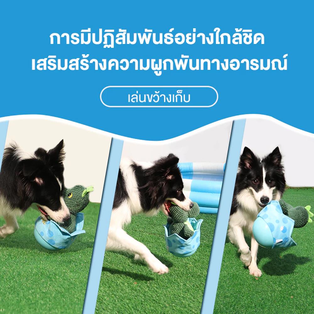 ของเล่นสำหรับสุนัข MOMOVIDA DT-4 สีเขียว