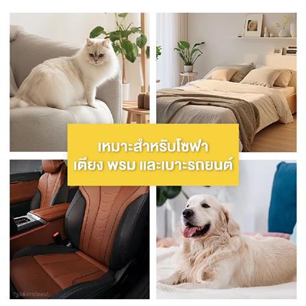 แปรงหวีขนและกำจัดขน MOMOVIDA PB-1 2IN1 สีน้ำเงิน_5