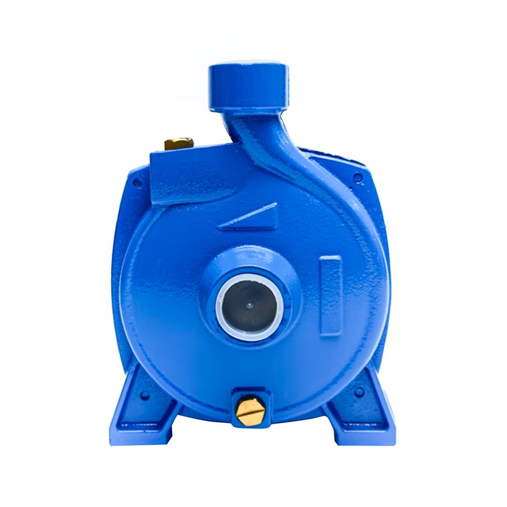 ปั๊มหอยโข่ง RADISON RDC50 0.5 แรงม้า