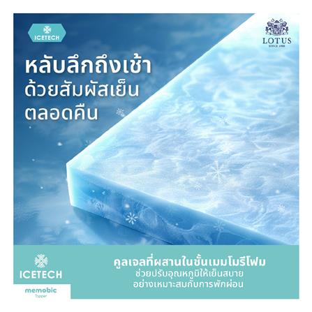 ที่นอน 3.5 ฟุต LOTUS ICELAND พร้อมหมอนหนุน 1 ใบ_11