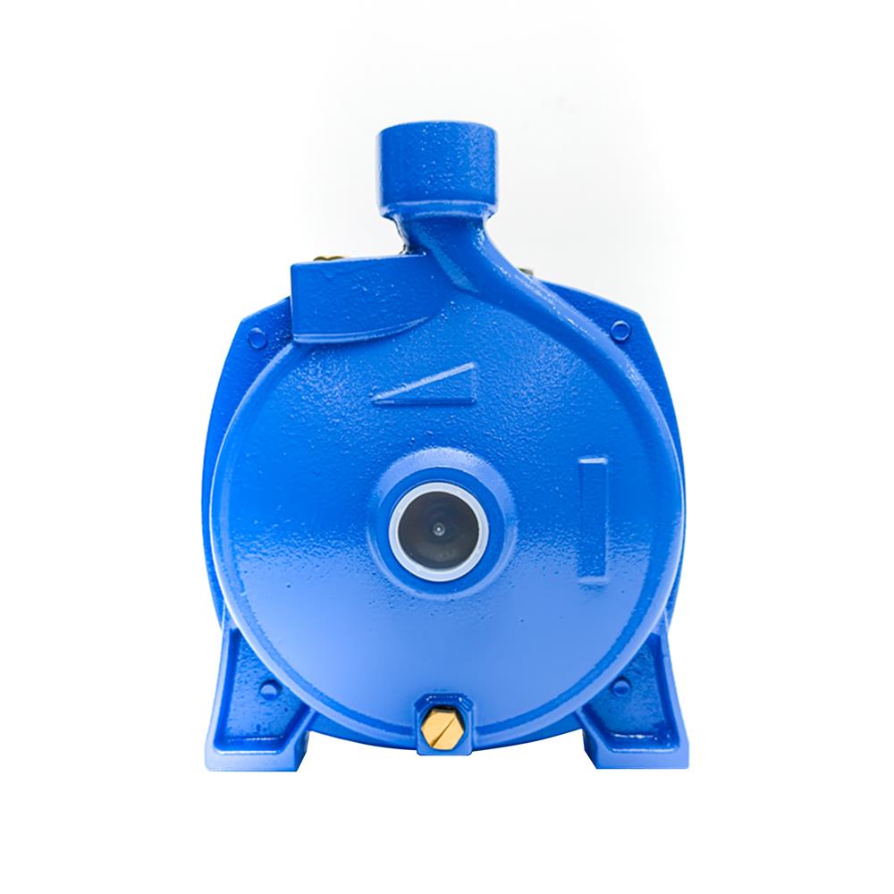 ปั๊มหอยโข่ง RADISON RDC110 1 แรงม้า