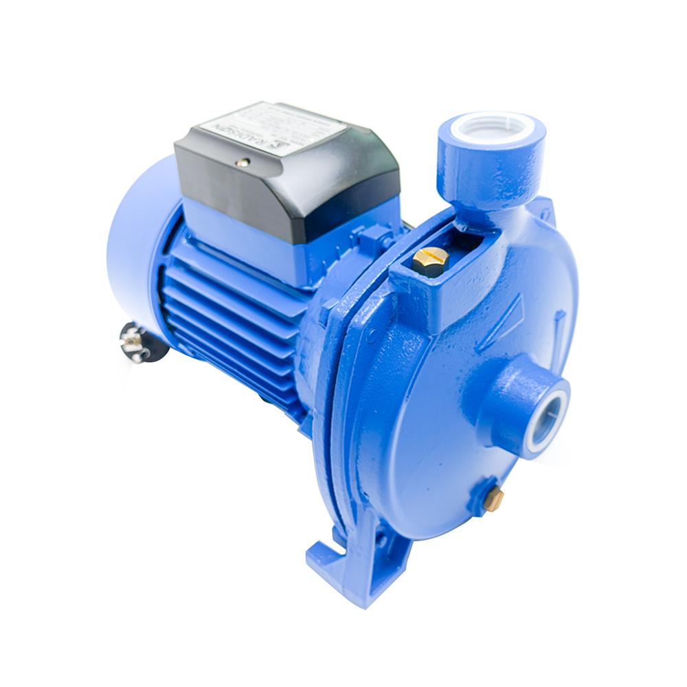 ปั๊มหอยโข่ง RADISON RDC110 1 แรงม้า