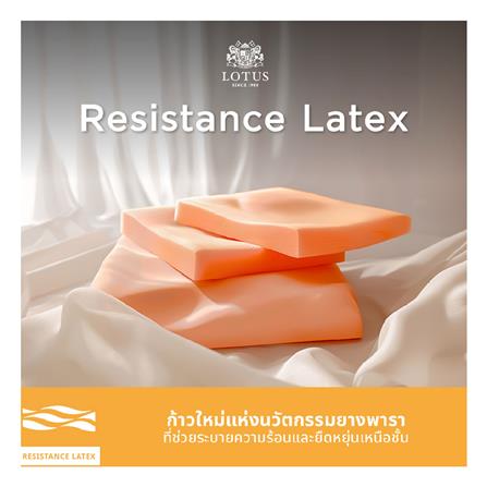 ที่นอน 5 ฟุต LOTUS ICELAND พร้อมหมอนหนุน 2 ใบ_10