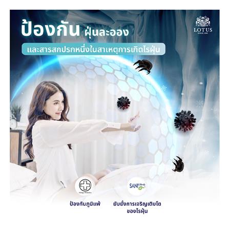 ที่นอน 5 ฟุต LOTUS ICELAND พร้อมหมอนหนุน 2 ใบ_12