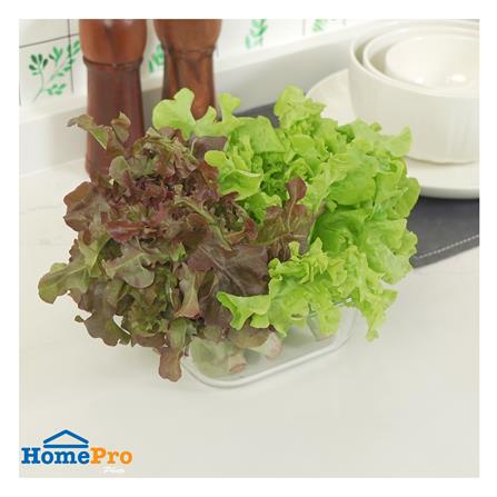 ชามแก้วเหลี่ยม KECH 800 มล._4