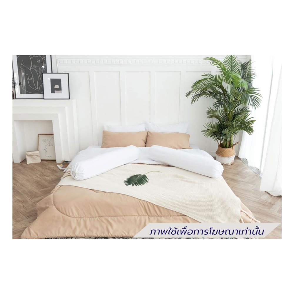 ชุดผ้าปูที่นอน 3.5 ฟุต (ชุด 4 ชิ้น) SANTA BEDDING สี WHITE/BROWN