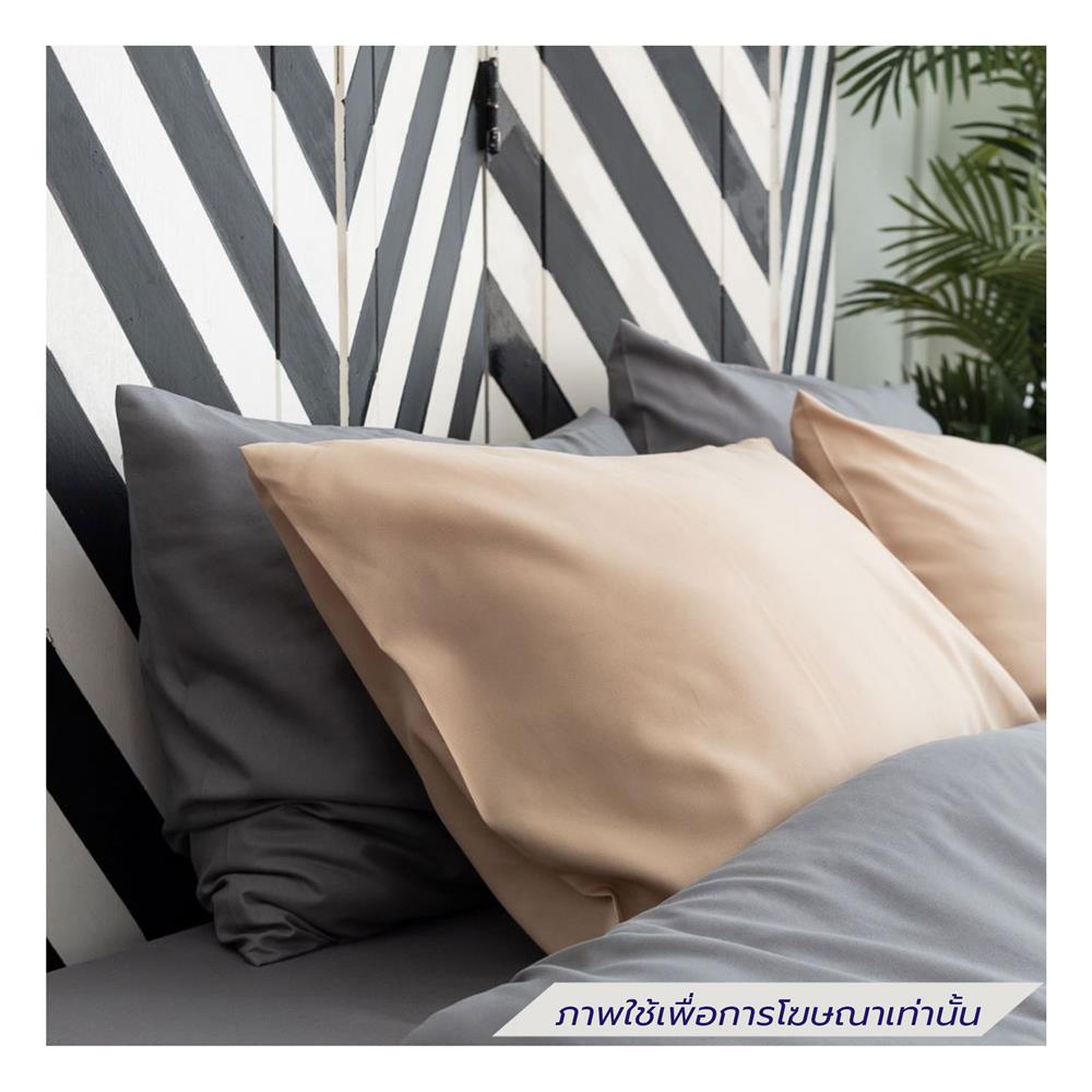 ชุดผ้าปูที่นอน 6 ฟุต (ชุด 6 ชิ้น) SANTA BEDDING สี GREY/BROWN