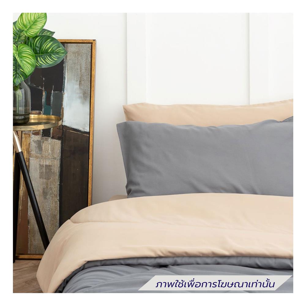 ชุดผ้าปูที่นอน 5 ฟุต (ชุด 6 ชิ้น) SANTA BEDDING สี BROWN/GREY