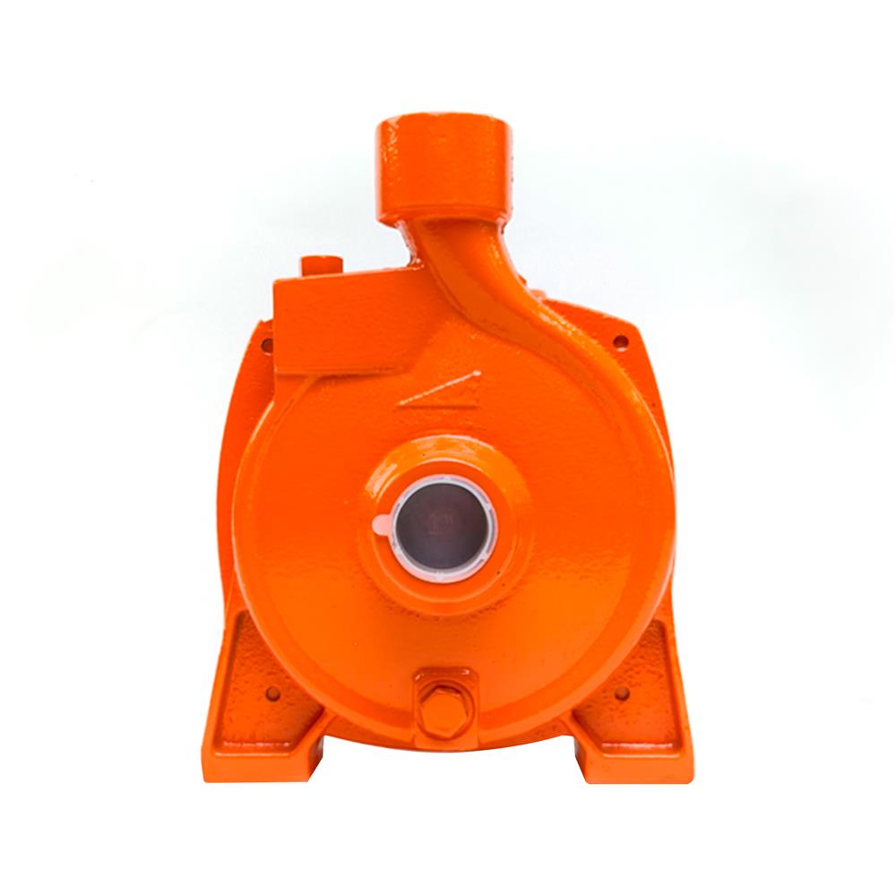 ปั๊มหอยโข่ง RADISON RDH-50MCP 0.5 แรงม้า