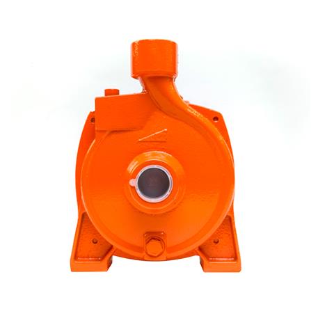 ปั๊มหอยโข่ง RADISON RDH-50MCP 0.5 แรงม้า_1