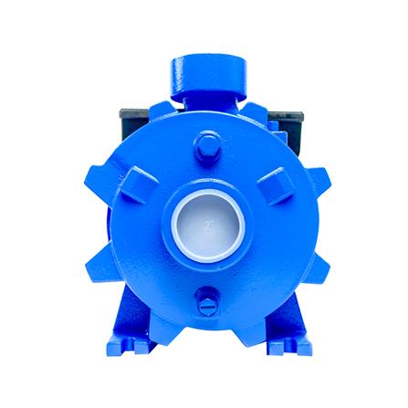 ปั๊มหอยโข่ง RADISON 2RDC50/300 3HP_2