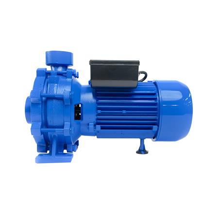 ปั๊มหอยโข่ง RADISON 2RDC50/300 3HP_3