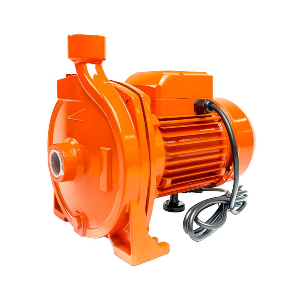 ปั๊มหอยโข่ง RADISON RDH-100MCP 1 แรงม้า