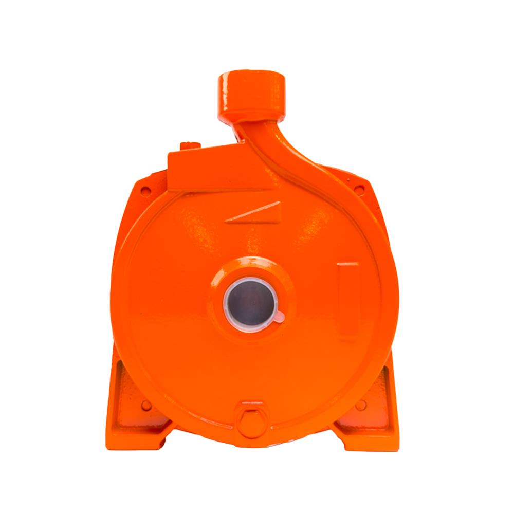 ปั๊มหอยโข่ง RADISON RDH-100MCP 1 แรงม้า