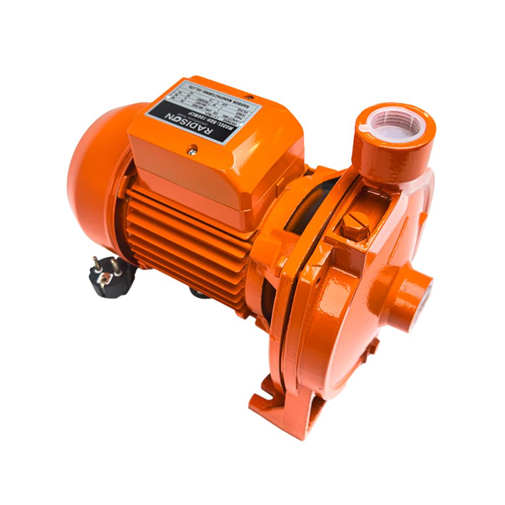 ปั๊มหอยโข่ง RADISON RDH-100MCP 1 แรงม้า