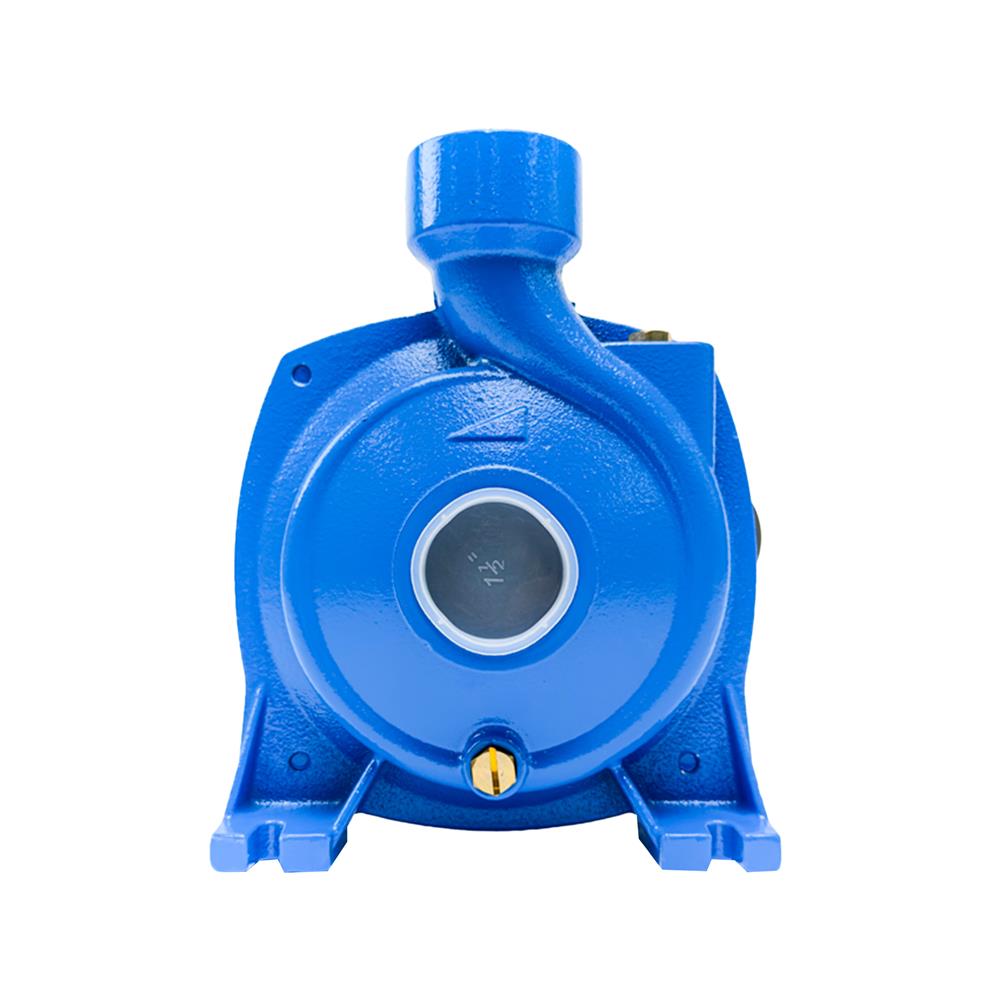 ปั๊มหอยโข่ง RADISON RDC150 1 แรงม้า