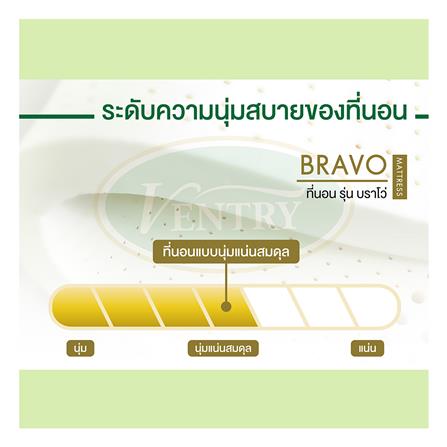 ที่นอน 3.5 ฟุต VENTRY BRAVO_6