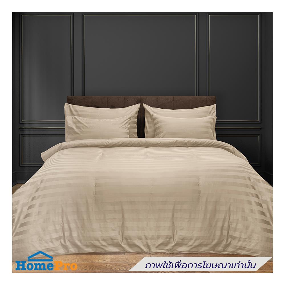 ปลอกผ้านวม PICASSO CT STRIPE 630TC 90x100 นิ้ว สี BROWN