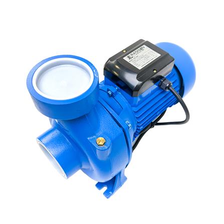 ปั๊มหอยโข่ง RADISON RDC300 3 แรงม้า_0