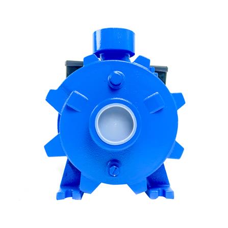 ปั๊มหอยโข่ง RADISON 2RDC50/200 2 แรงม้า_2