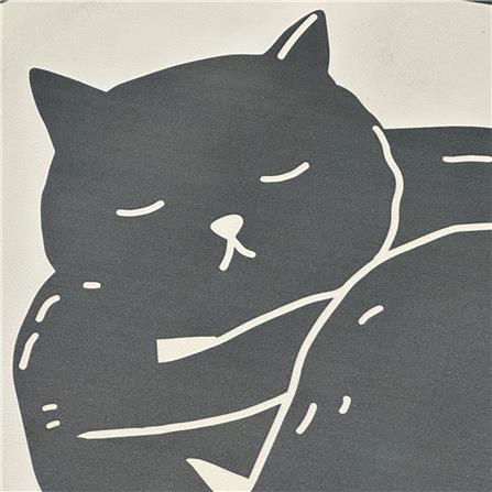 พรมพียู HOME LIVING STYLE CATNAP 45x70 ซม. สีดำ_2