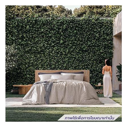 ชุดผ้าปูที่นอน 6 ฟุต (ชุด 5 ชิ้น) DUNLOPILLO VERONA VRN-01_0