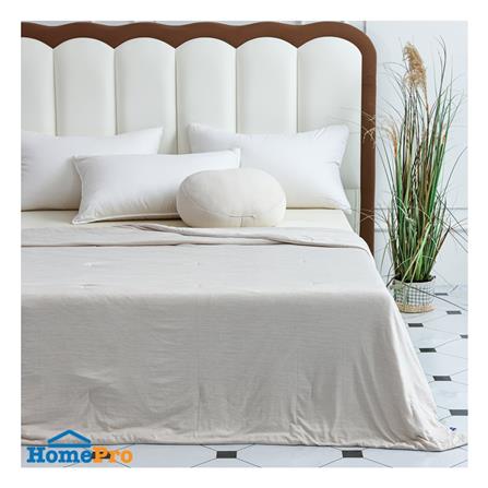 ผ้านวม SNAZZ COOLING BREEZY 70x90 นิ้ว สี BROWN_4