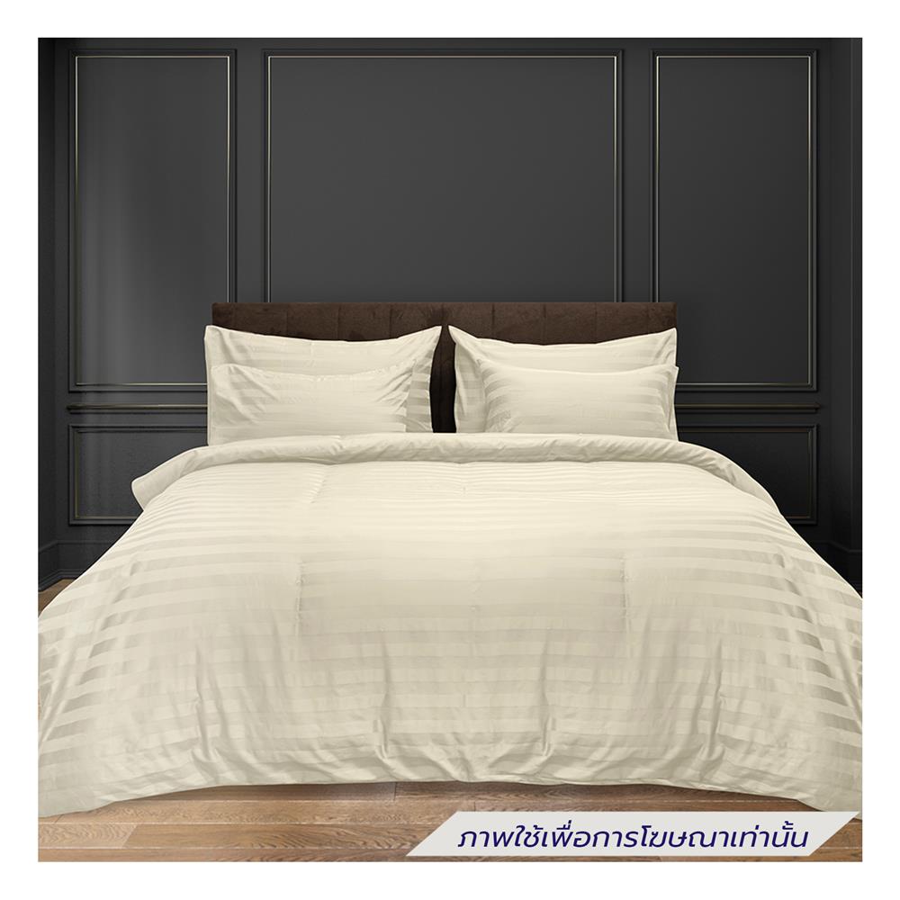 ผ้าปูที่นอน PICASSO COTTON STRIPE 630TC 72x78 นิ้ว สี CREAM