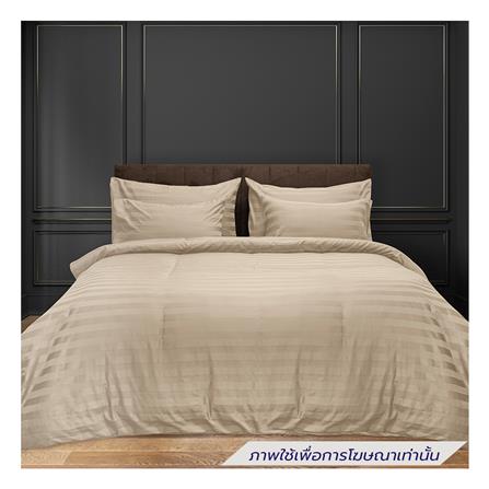 ผ้าปูที่นอน PICASSO COTTON STRIPE 630TC 60x78 นิ้ว สี BROWN_0