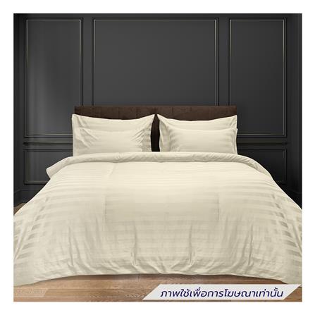 ผ้าปูที่นอน PICASSO COTTON STRIPE 630TC 60x78 นิ้ว สี CREAM_0
