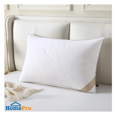 หมอนหนุน ขนห่าน BENETTA EXTRA GOOSE DOWN FIRM 22x35 นิ้ว สีขาว_5