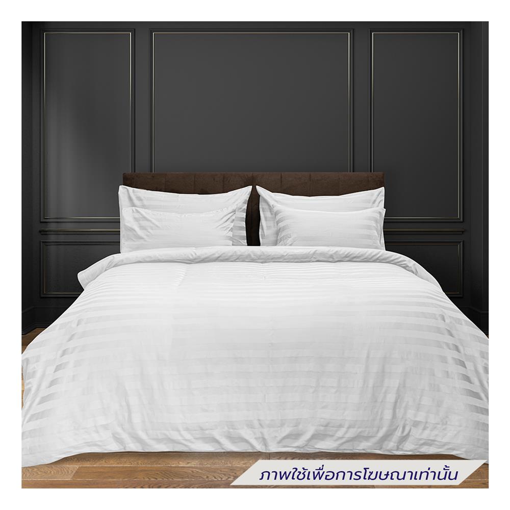 ผ้าปูที่นอน PICASSO COTTON STRIPE 760TC 42x78 นิ้ว สี WHITE