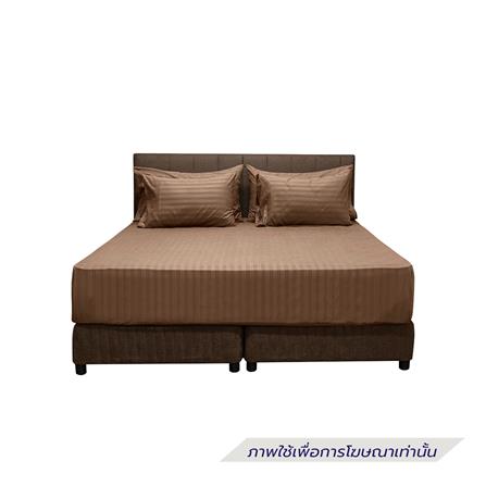 ผ้าปูที่นอน PICASSO MICRO 300TC STRIPE 72x78 นิ้ว สี BROWN_1
