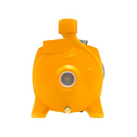 ปั๊มหอยโข่ง CAPITAL CPT-110 1 แรงม้า_1