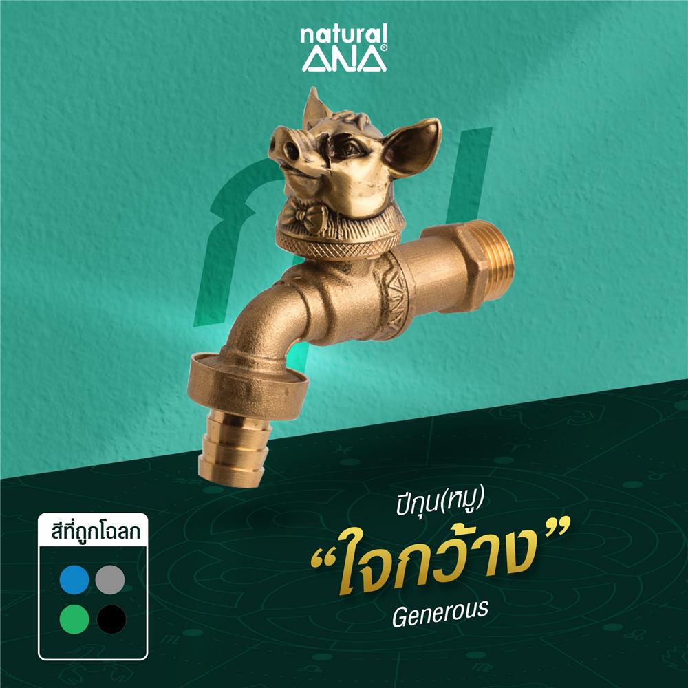 ก๊อกสนาม ANA ปีกุน 1/2 นิ้ว สีทองเหลือง