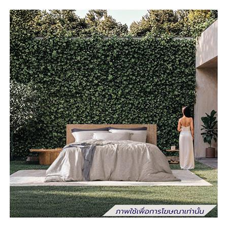 ชุดผ้าปูที่นอน 5 ฟุต (ชุด 5 ชิ้น) DUNLOPILLO VERONA VRN-01_0