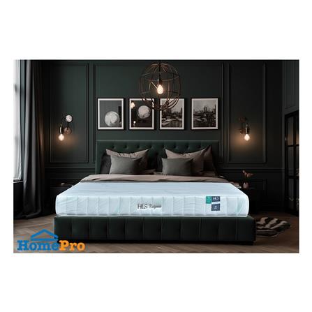 ที่นอน 5 ฟุต HOME LIVING STYLE ENIGMA II_5