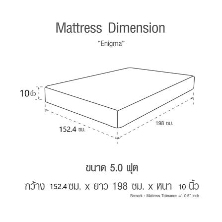 ที่นอน 5 ฟุต HOME LIVING STYLE ENIGMA II_9
