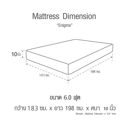 ที่นอน 6 ฟุต HOME LIVING STYLE ENIGMA II_9