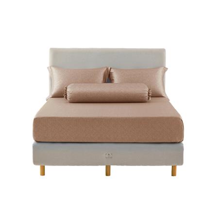 ชุดผ้าปูที่นอน 6 ฟุต (ชุด 5 ชิ้น) DUNLOPILLO VERONA VRN-05_1