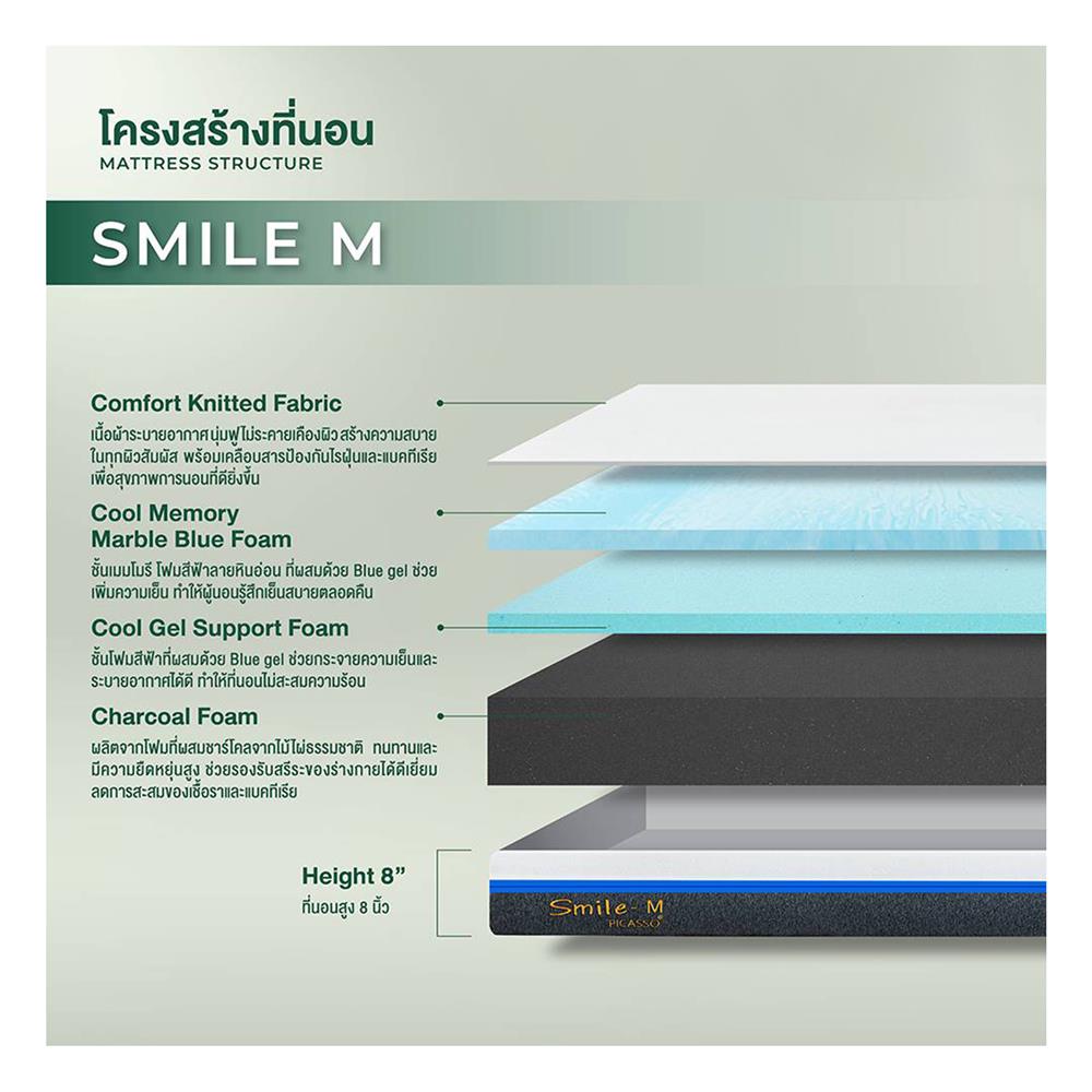 ที่นอน 5 ฟุต PICASSO SMILE M 8 นิ้ว (พร้อมหมอนหนุน 2 ใบ)