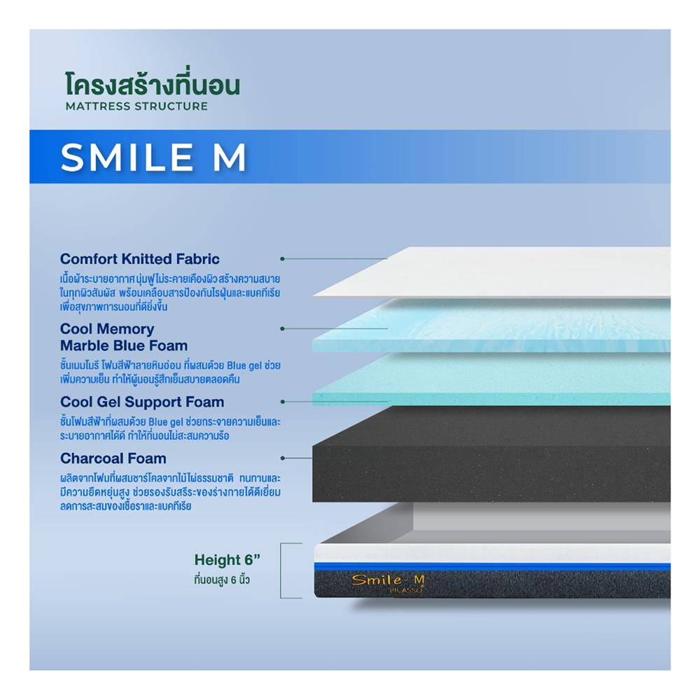 ที่นอน 6 ฟุต PICASSO SMILE M 6 นิ้ว (พร้อมหมอนหนุน 2 ใบ)