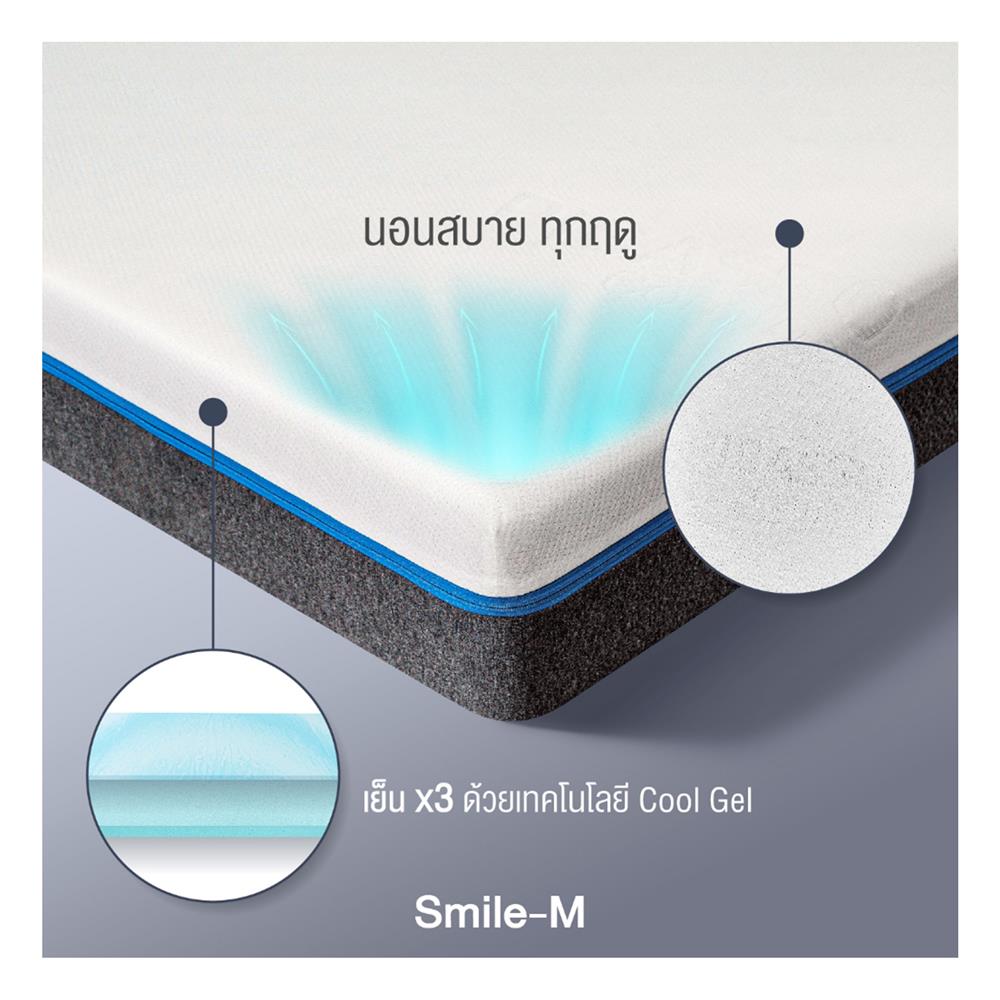 ที่นอน 5 ฟุต PICASSO SMILE M 4 นิ้ว (พร้อมหมอนหนุน 2 ใบ)