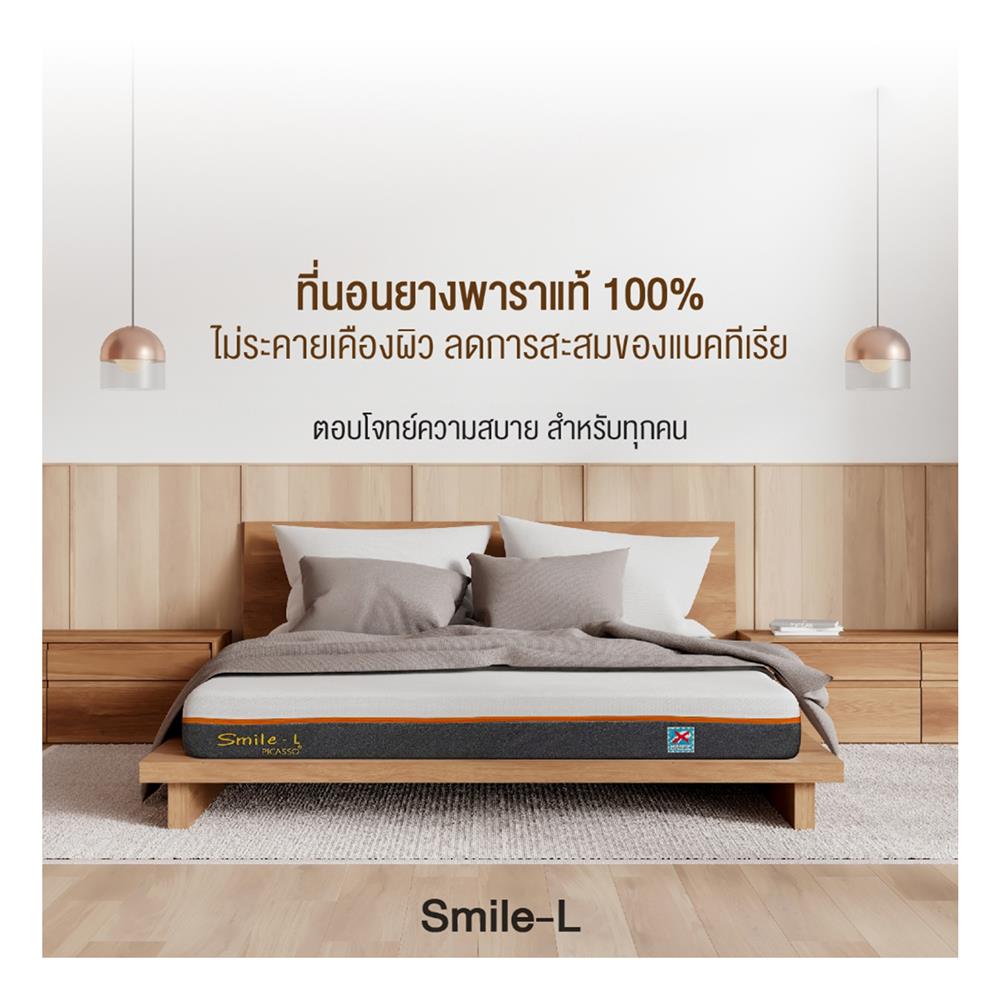 ที่นอน 6 ฟุต PICASSO SMILE L 8 นิ้ว (พร้อมหมอนหนุน 2 ใบ)